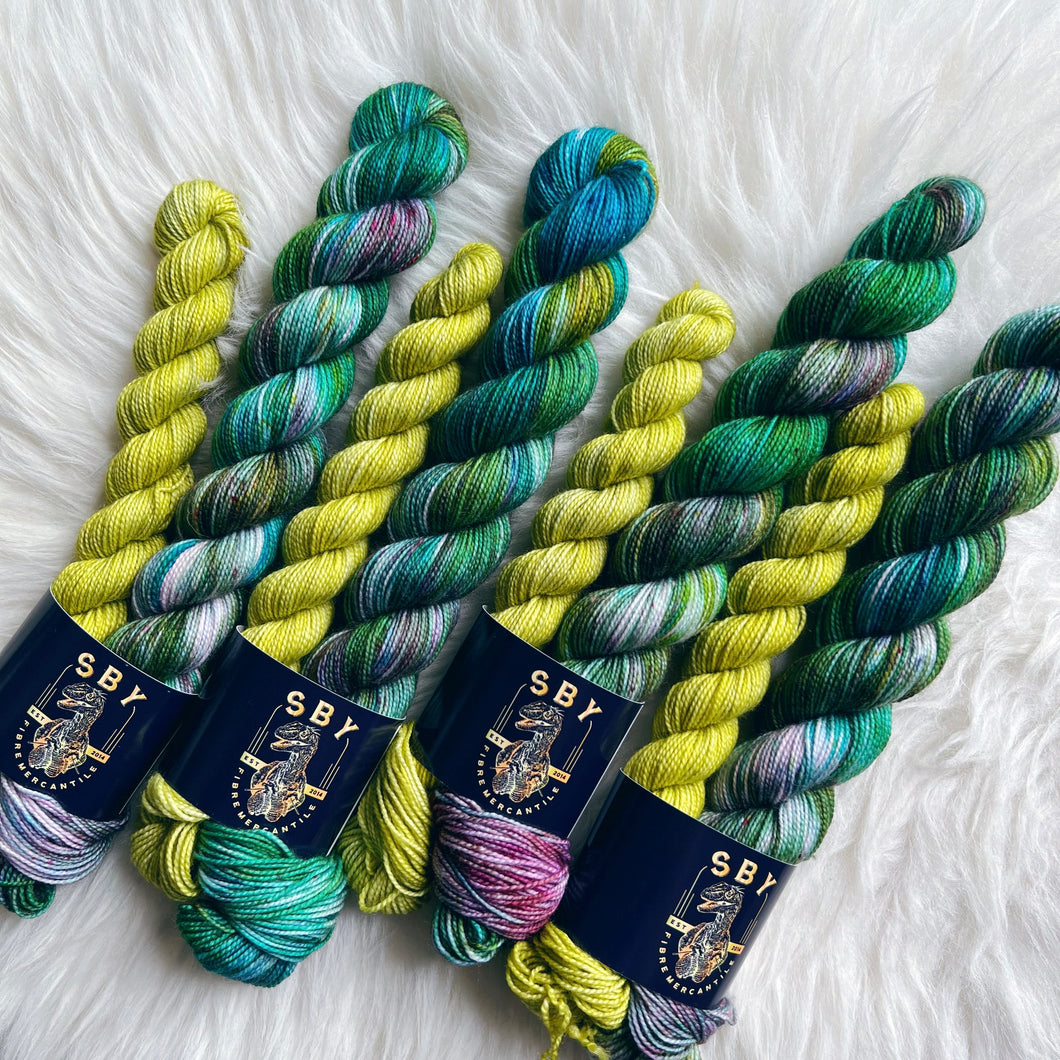 Sock Set - You Said Watermelon Right?!
