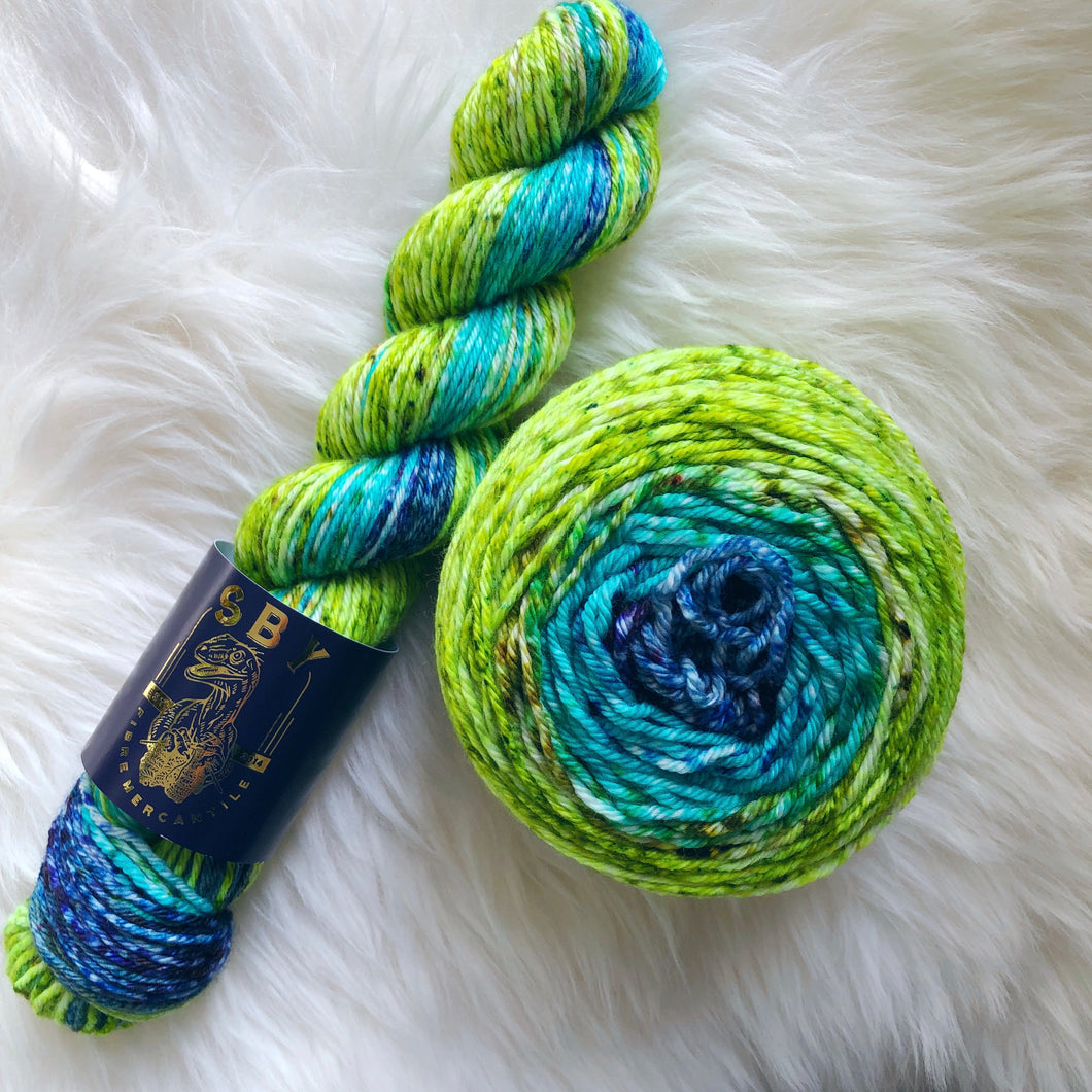 Deconstructed Fade Worsted - Wild Again