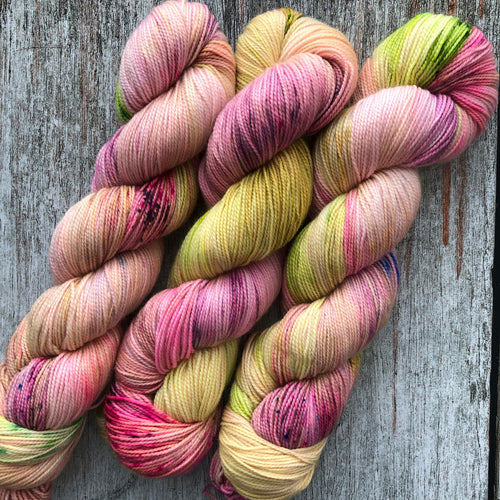 Shirley brian yarn Scuttle Sock - the tulips you bring